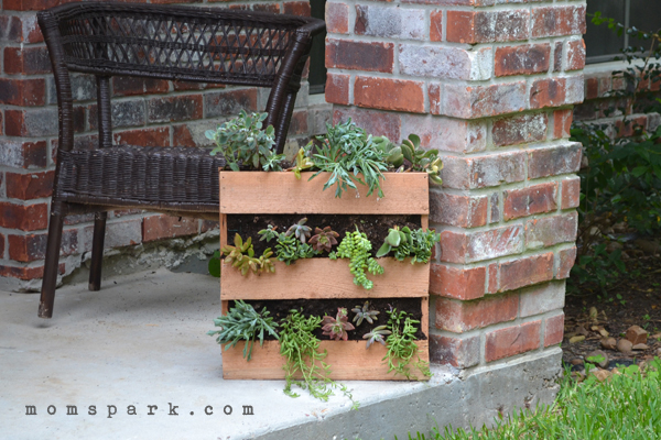 DIY Cedar Pallet Succulent Planter
